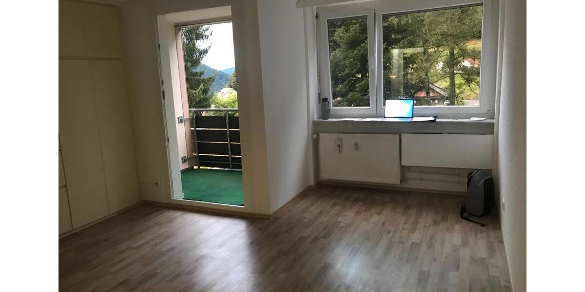 Etagenwohnung Baiersbronn - 1 Zimmer, 30 m&sup2;, 340&euro; | Angebot:26578966