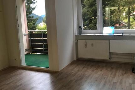 Wohnung Baiersbronn - 1 Zimmer, 30 m&sup2;, 340&euro; | Angebot:26578966
