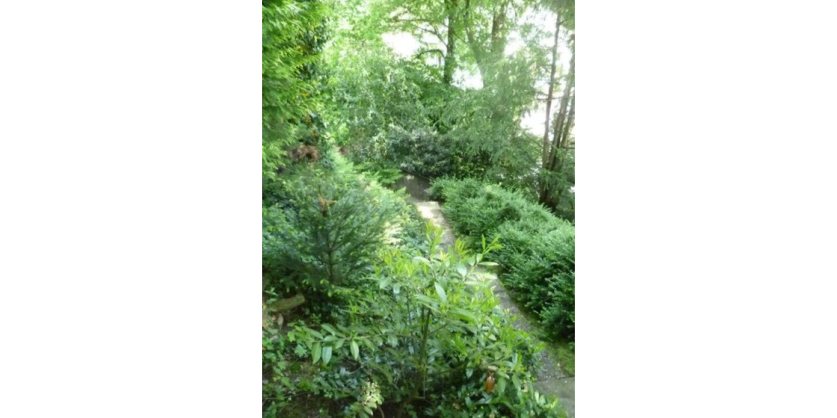 Einfamilienhaus Gummersbach - 6 Zimmer, 250 m&sup2;, 1.950&euro; | Angebot:25216498