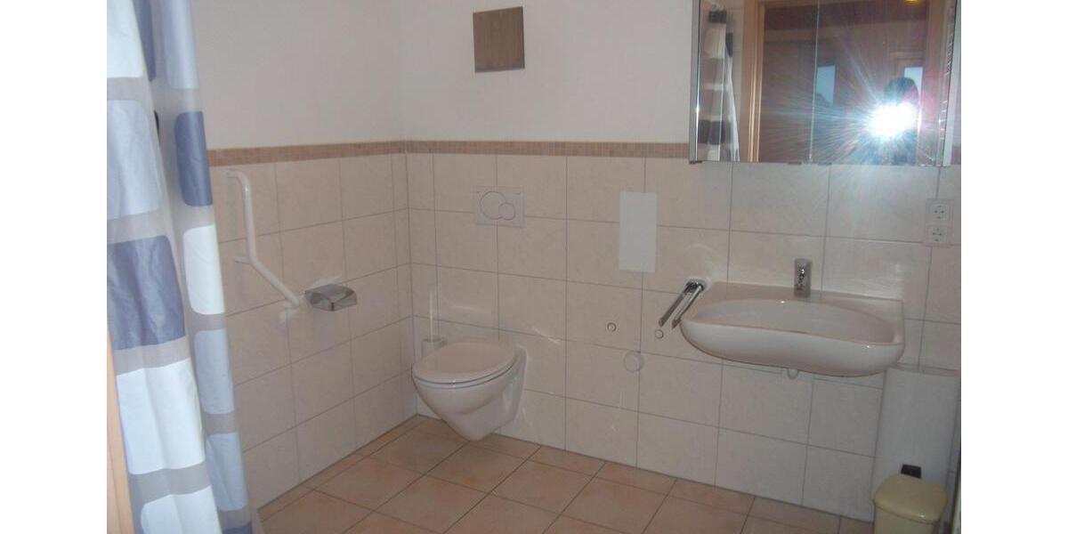 Etagenwohnung Friedrichshafen Ailingen - 1 Zimmer, 36 m&sup2;, 504&euro; | Angebot:25960814