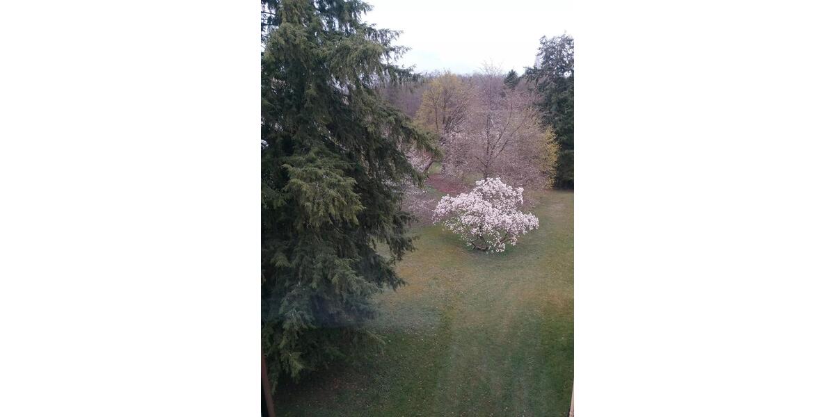 Etagenwohnung Saarbrücken Kieselhumes - 3 Zimmer, 92 m&sup2;, 1.050&euro; | Angebot:26045001