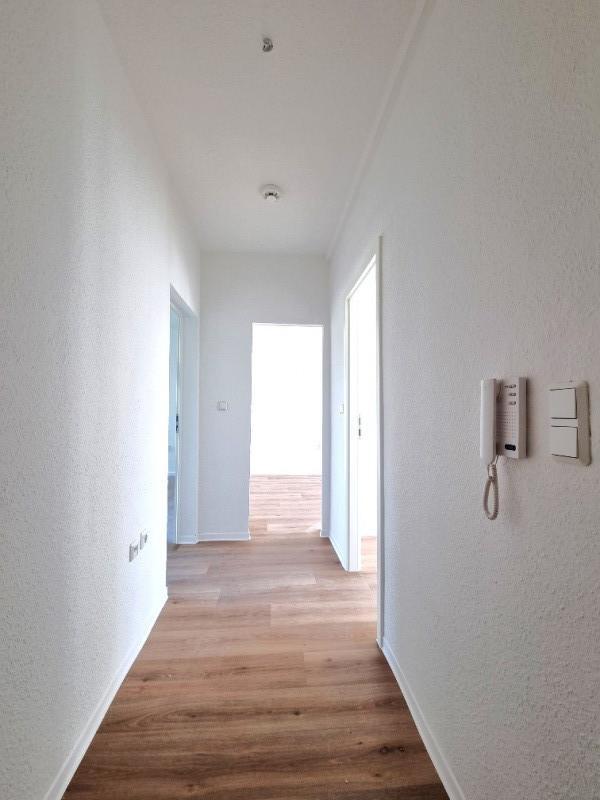 Komplett sanierte 2-Raumwohnung mit Balkon in ruhiger Wohnlage ab dem 01.12.2025 zu vermieten zimmer