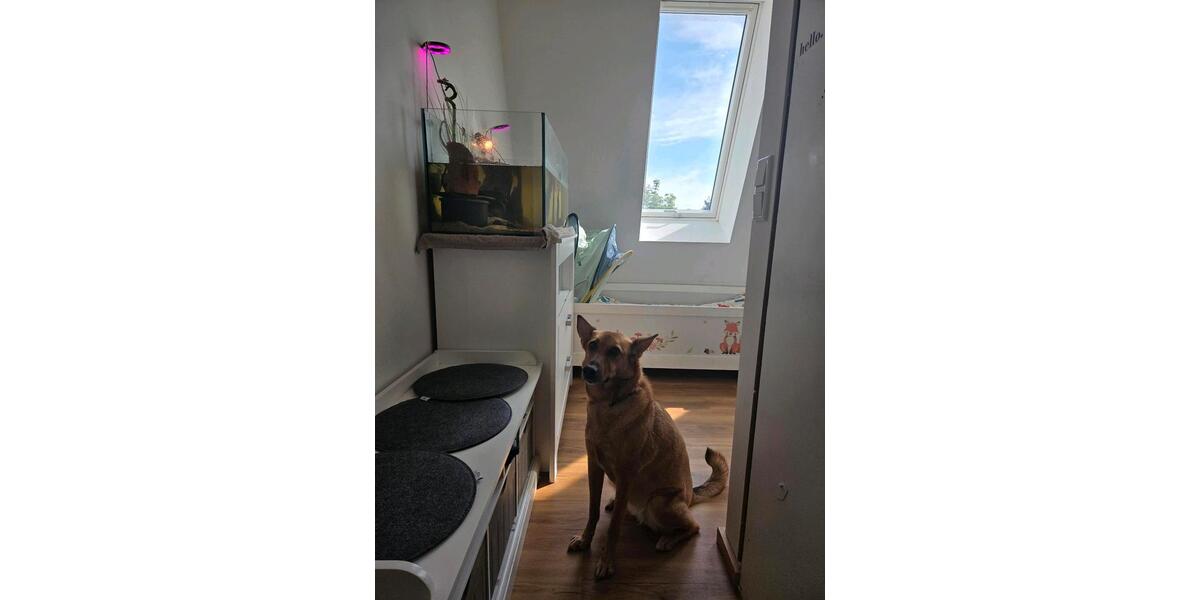 Etagenwohnung Straubing - 2 Zimmer, 76 m&sup2;, 1.080&euro; | Angebot:26591669