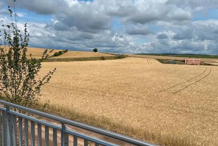 Wohnung Hargesheim - 3 Zimmer, 114 m&sup2;, 1.430&euro; | Angebot:21638972