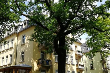 Wohnen auf Zeit Dresden Blasewitz - 4 Zimmer, 110 m&sup2;, 2.290&euro; | Angebot:21655338