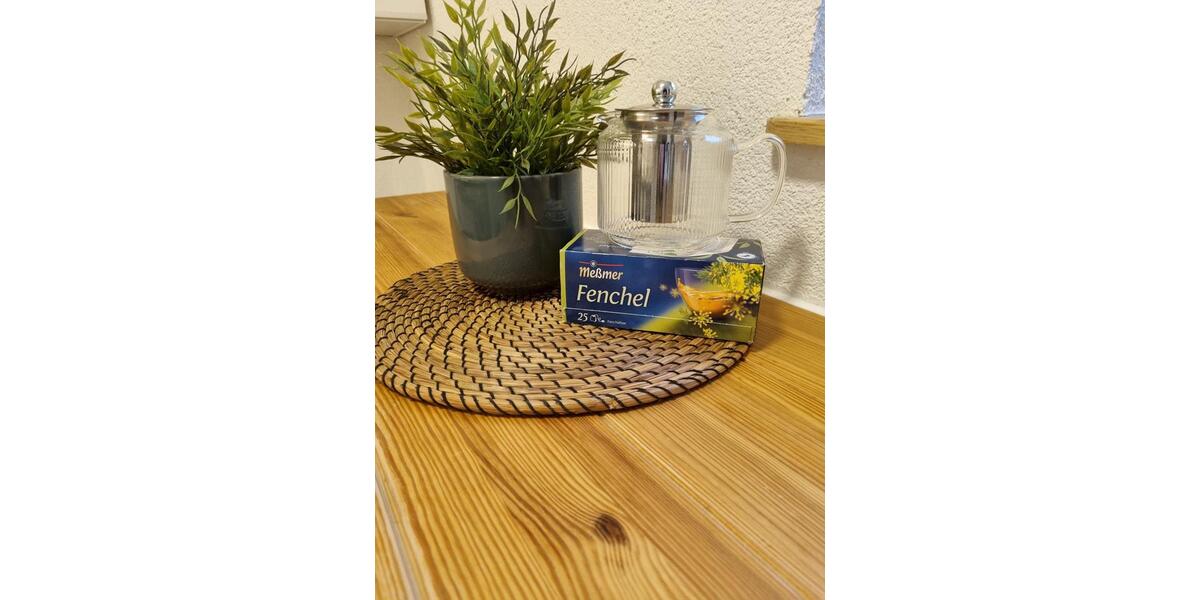 Wohnen auf Zeit Neckarsteinach - 1 Zimmer, 35 m&sup2;, 890&euro; | Angebot:25365972