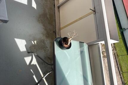 Wohnung Friedrichroda - 2 Zimmer, 40 m&sup2;, 300&euro; | Angebot:26112909