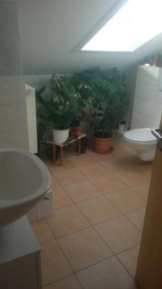 DG-Zimmer mit Dusche ohne Küche mit Kühlschrank an Pendler
