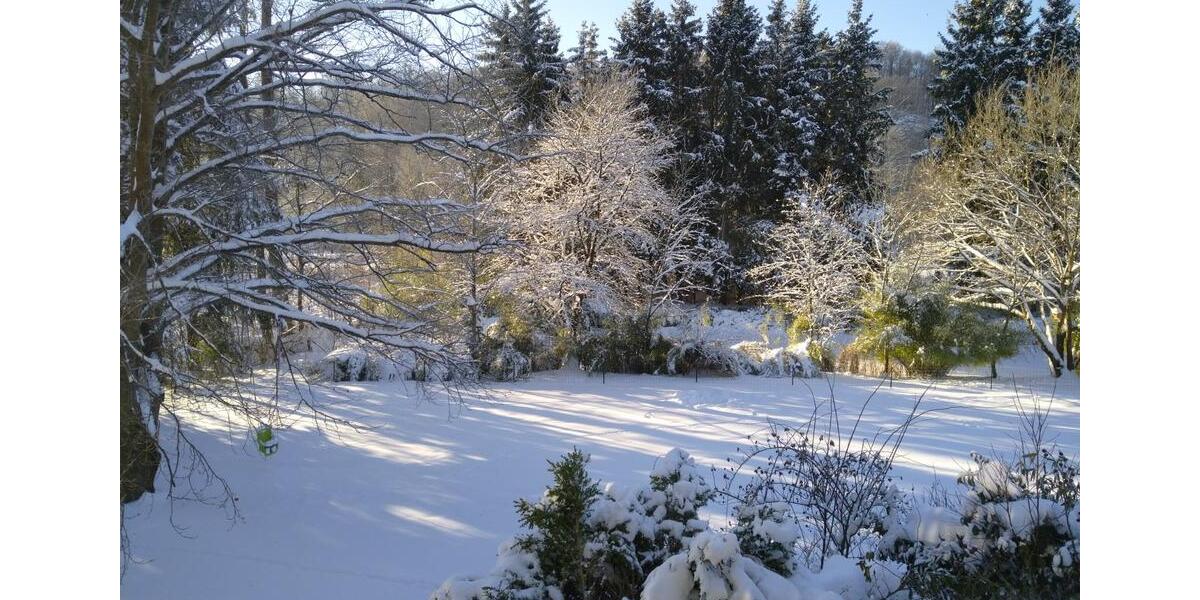 Etagenwohnung Walkenried - 2 Zimmer, 43 m&sup2;, 600&euro; | Angebot:24832639