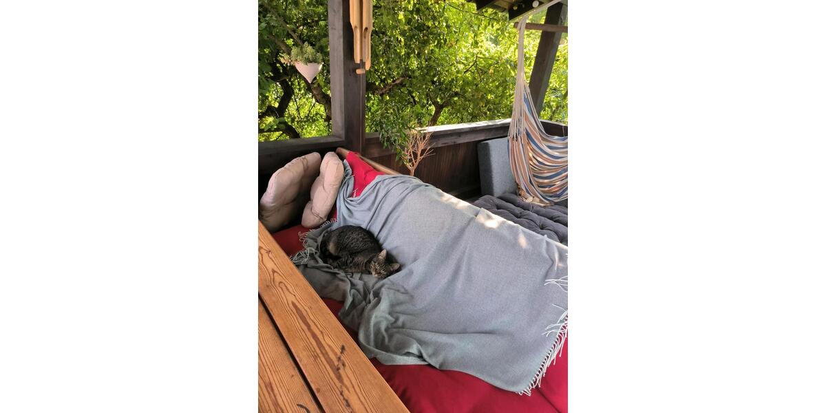 Wohnen auf Zeit Schwabach - 1 Zimmer, 15 m&sup2;, 380&euro; | Angebot:24746599