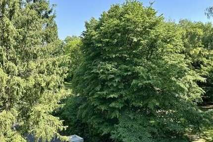Wohnung Bonn / Poppelsdorf Poppelsdorf - 1 Zimmer, 33 m&sup2;, 550&euro; | Angebot:27092589