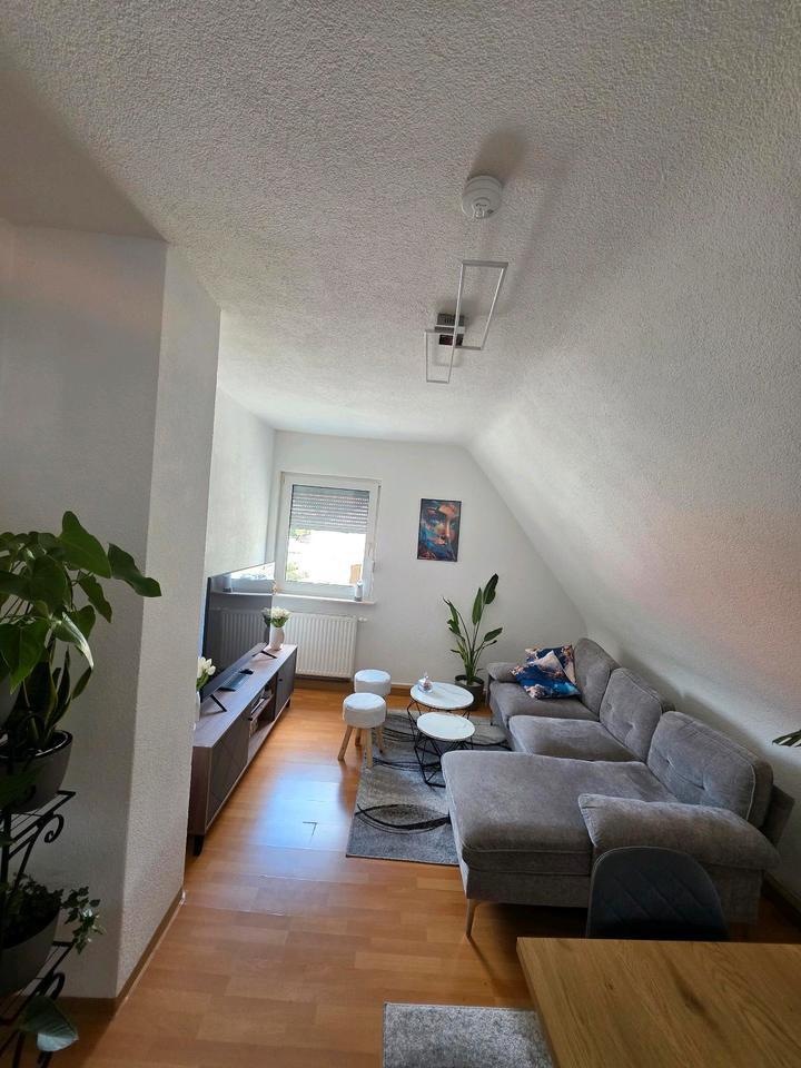 3 Zimmer Wohnung