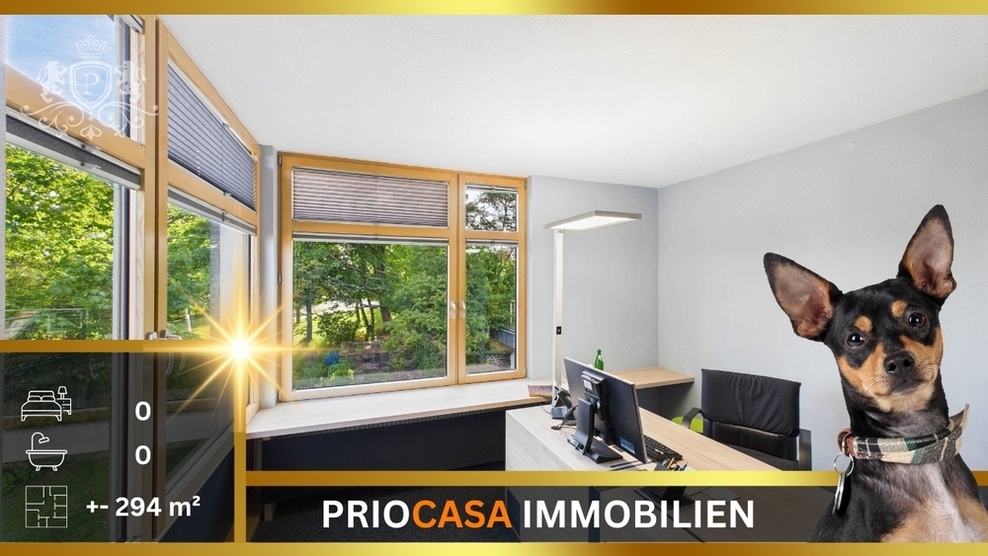 Moderne Bürofläche 294 m² Naturblick Nähe Luxemburg & Bleialf Klimaanlage Bis 12 Stellplätze