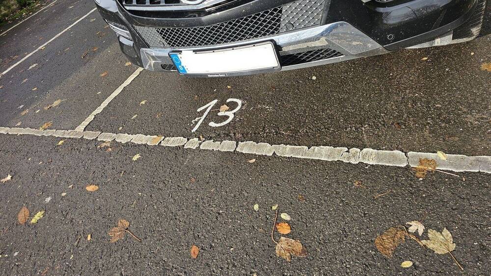 Etagenwohnung Neustadt an der Weinstraße Neustadt-Stadt - 3 Zimmer, 55 m&sup2;, 600&euro; | Angebot:26247481