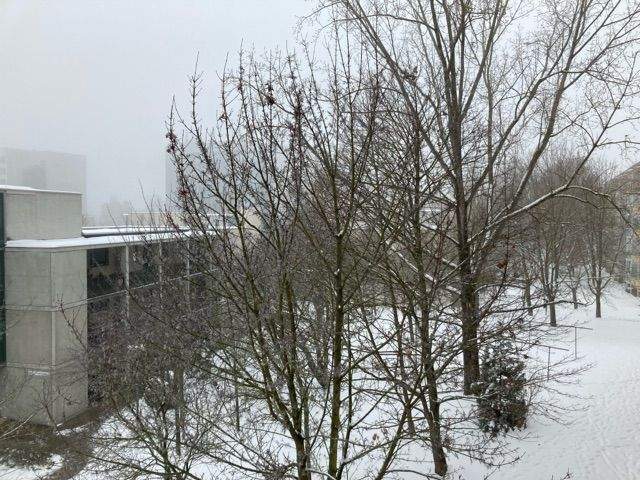 Etagenwohnung Weimar Nordstadt - 2 Zimmer, 48 m&sup2;, 355&euro; | Angebot:25070378