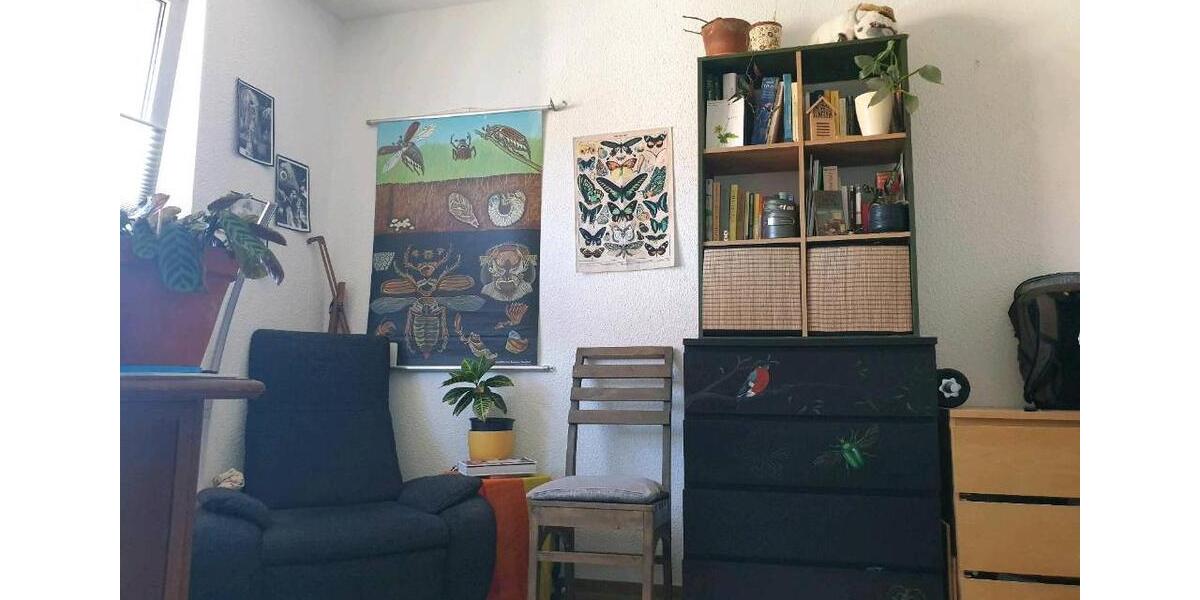 Wohnen auf Zeit Greifswald Groß Schönwalde - 1 Zimmer, 60 m&sup2;, 315&euro; | Angebot:26492588