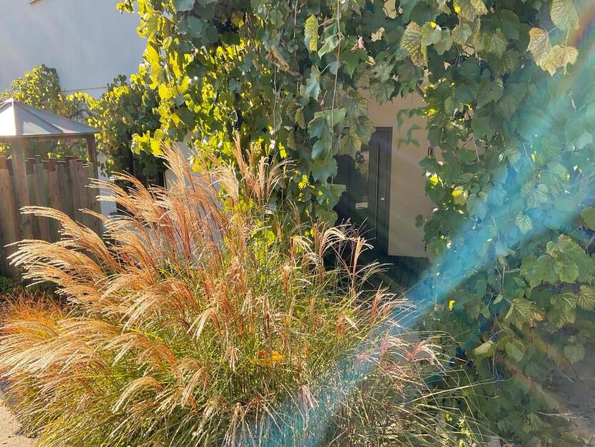 Kleine Wohnung in großem Garten