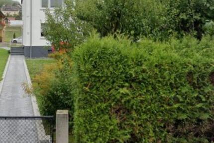 Wohnung Philippsthal (Werra) - 3 Zimmer, 44 m&sup2;, 300&euro; | Angebot:24381126