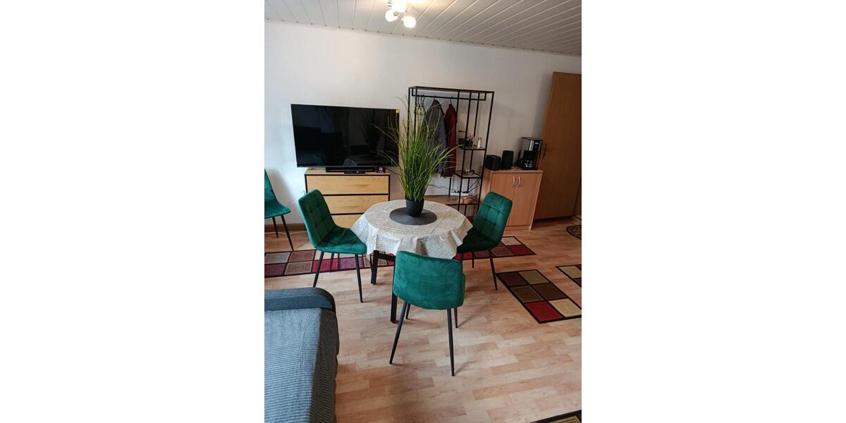 Wohnen auf Zeit Freiberg - 1 Zimmer, 28 m&sup2;, 600&euro; | Angebot:23804237