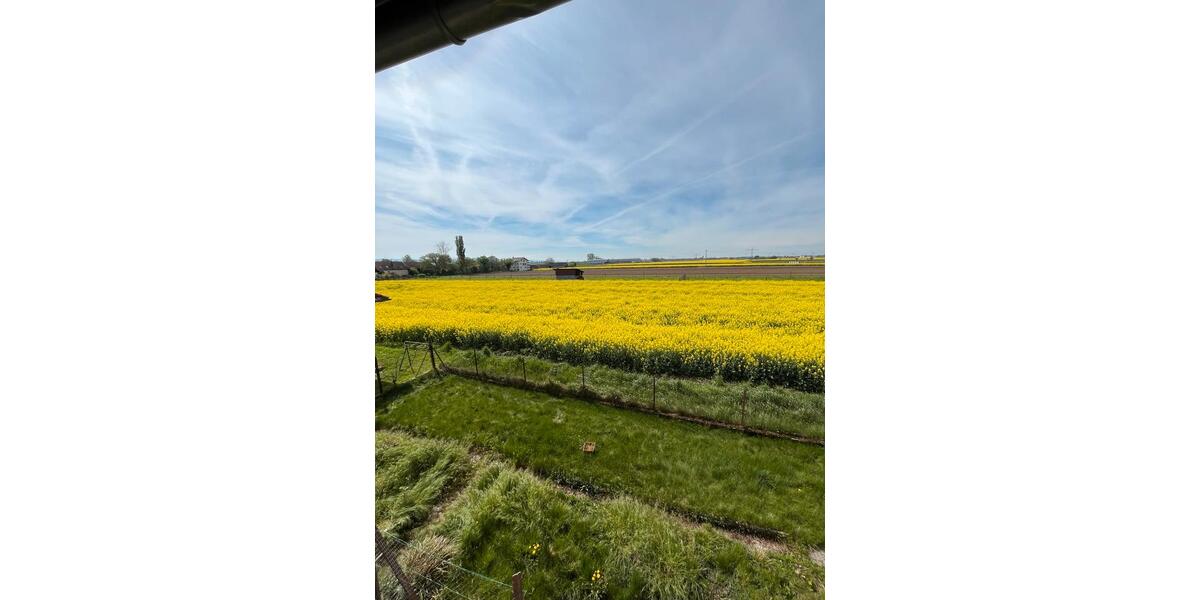 Etagenwohnung Neuried - 4 Zimmer, 70 m&sup2;, 330&euro; | Angebot:24625486