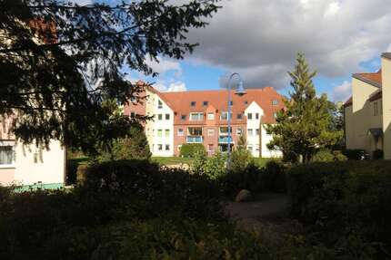 Wohnung Müncheberg - 3 Zimmer, 73 m&sup2;, 730&euro; | Angebot:27357059