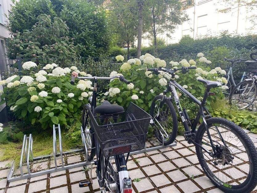 Charmante 2-Zimmer-GartenWohnung in Isarnähe Thalkirchen