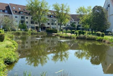 Zwischenmiete 17. Dez bis 12. Jan - möblierte 3-Zimmer Wohnung 3 zimmer