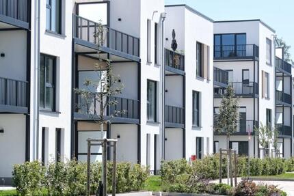 Wohnung Höhr-Grenzhausen Grenzhausen - 1 Zimmer, 42 m&sup2;, 504&euro; | Angebot:25436178