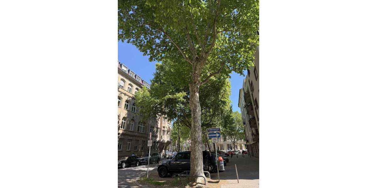 Etagenwohnung Mannheim Oststadt - 5 Zimmer, 150 m&sup2;, 1.700&euro; | Angebot:26072400