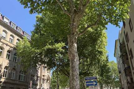 Wohnung Mannheim Oststadt - 5 Zimmer, 150 m&sup2;, 1.700&euro; | Angebot:26072400