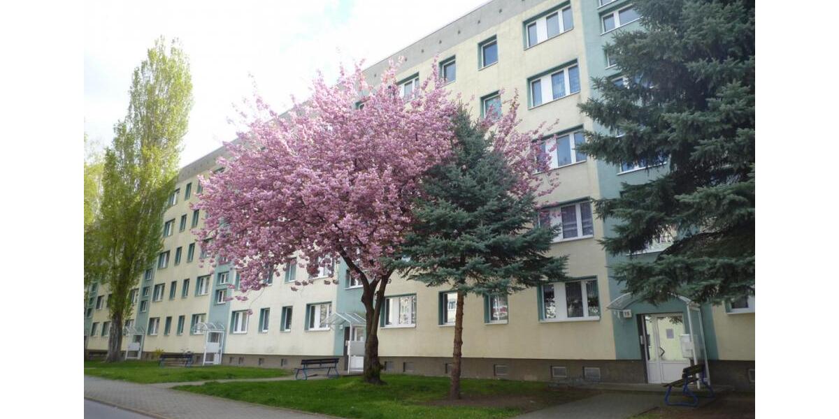 Etagenwohnung Staßfurt - 3 Zimmer, 60 m&sup2;, 449&euro; | Angebot:26262165