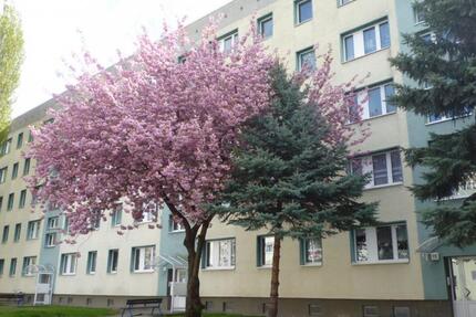 Wohnung Staßfurt - 3 Zimmer, 60 m&sup2;, 449&euro; | Angebot:26262165