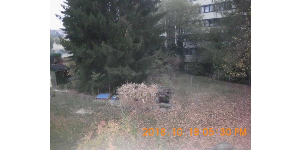 geräumige 1-Raum-Whg., 35 m², 1.OG, Lutherstraße 13, 09337 HOT 1 zimmer