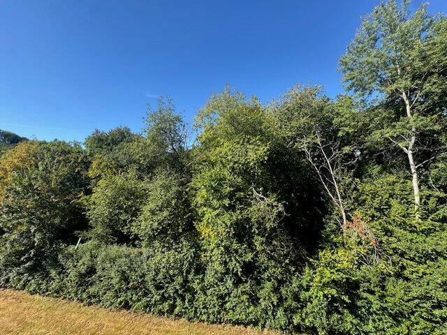 Zimmer Plettenberg Ohle - 3 Zimmer, 72 m&sup2;, 500&euro; | Angebot:26188940