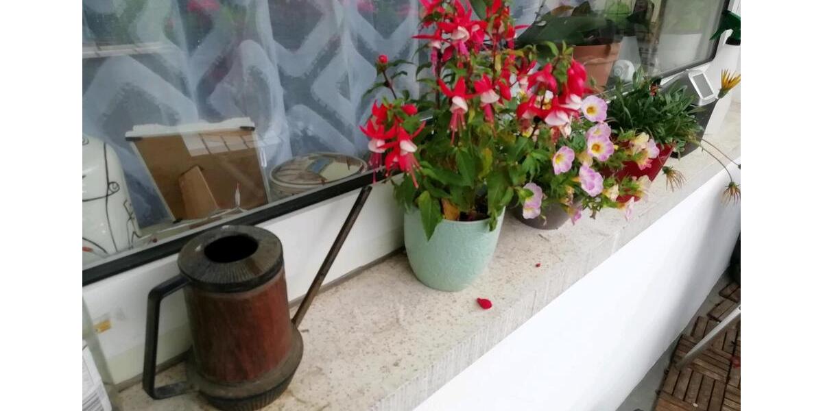 Hochparterre Bremen Blumenthal - 3 Zimmer, 70 m&sup2;, 800&euro; | Angebot:25254040