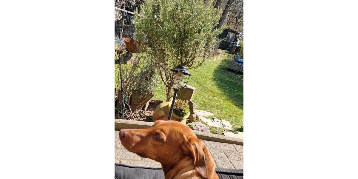 Etagenwohnung Eitorf - 2 Zimmer, 54 m&sup2;, 500&euro; | Angebot:24695949