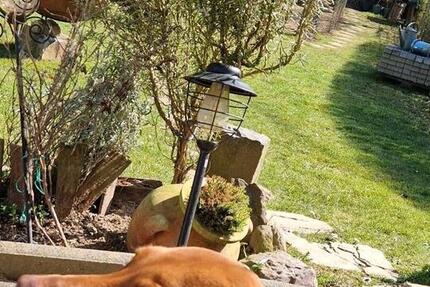 Wohnung Eitorf - 2 Zimmer, 54 m&sup2;, 500&euro; | Angebot:24695949