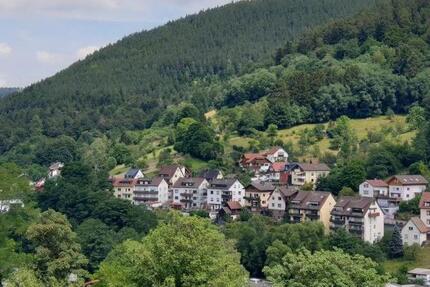 Helle 3-Zimmer-Altbau-Wohnung in zentrumsnaher Aussichtslage (Mietdauer: min. 4 Jahre)