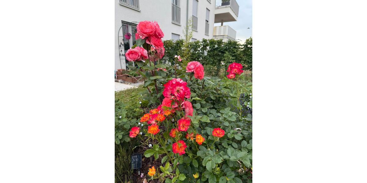 Erdgeschoßwohnung Neuried - 2 Zimmer, 52 m&sup2;, 1.850&euro; | Angebot:26459639