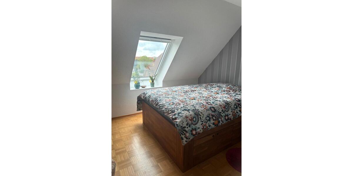 Dachgeschoßwohnung Peine - 3 Zimmer, 66 m&sup2;, 620&euro; | Angebot:26496189
