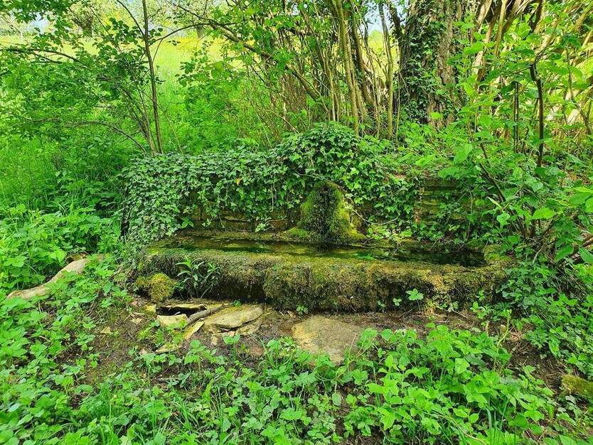 Wohnen im Grünen 2 zimmer