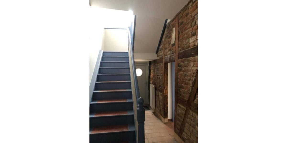 Wohnen auf Zeit Greifswald - 2 Zimmer, 21 m&sup2;, 235&euro; | Angebot:26169250