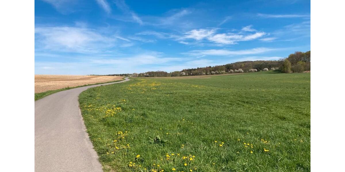 Etagenwohnung Bischofswerda - 4 Zimmer, 113 m&sup2;, 850&euro; | Angebot:24566018