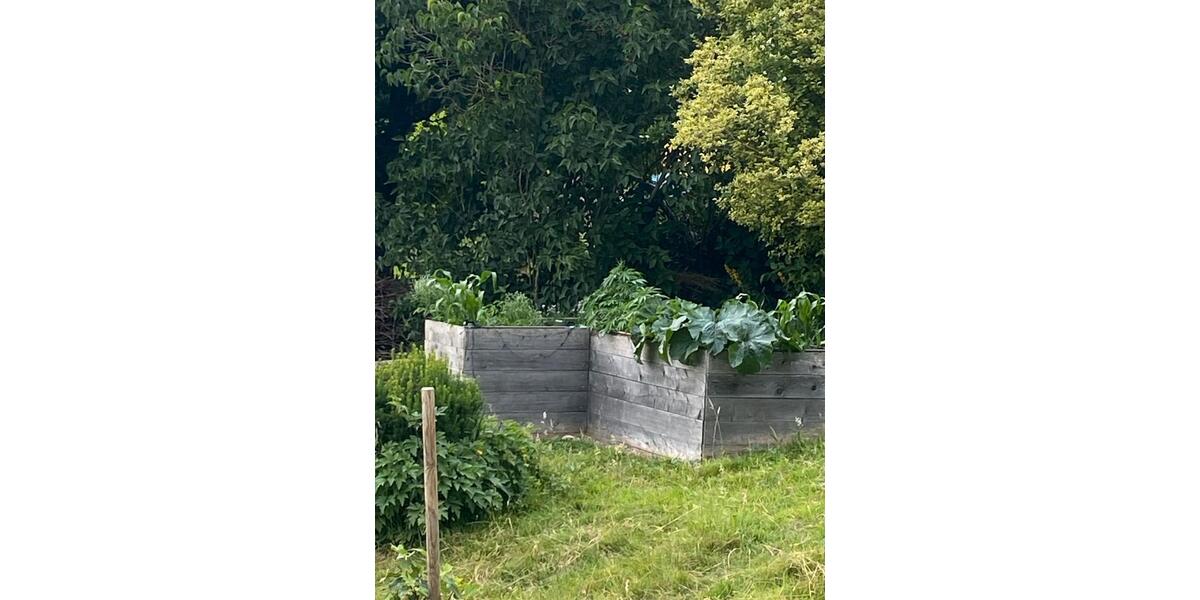 Wohnen auf Zeit Nieheim - 1 Zimmer, 13 m&sup2;, 350&euro; | Angebot:25982250