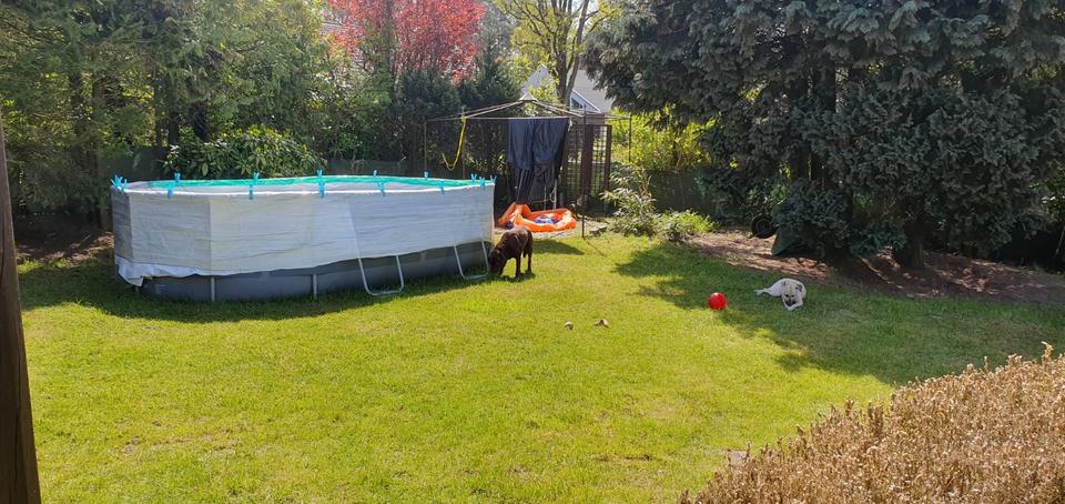 Einfamilienhaus Lingen (Ems) Damaschke - 1.300&euro; | Angebot:25052055