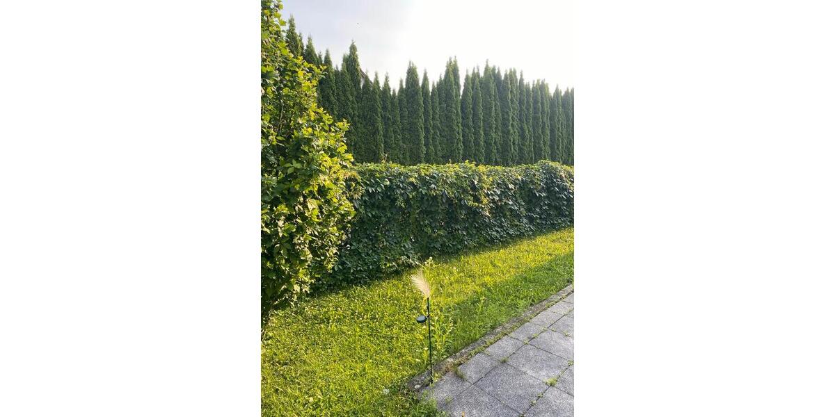 Wohnen auf Zeit Niederalteich - 4 Zimmer, 9 m&sup2;, 400&euro; | Angebot:23669774