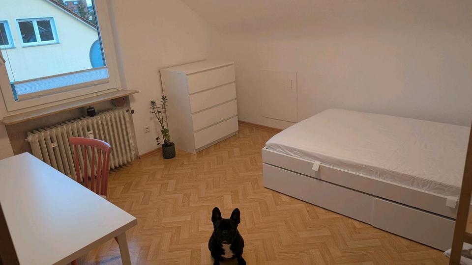 möbliertes WG-Zimmer für Hundefreund*innen