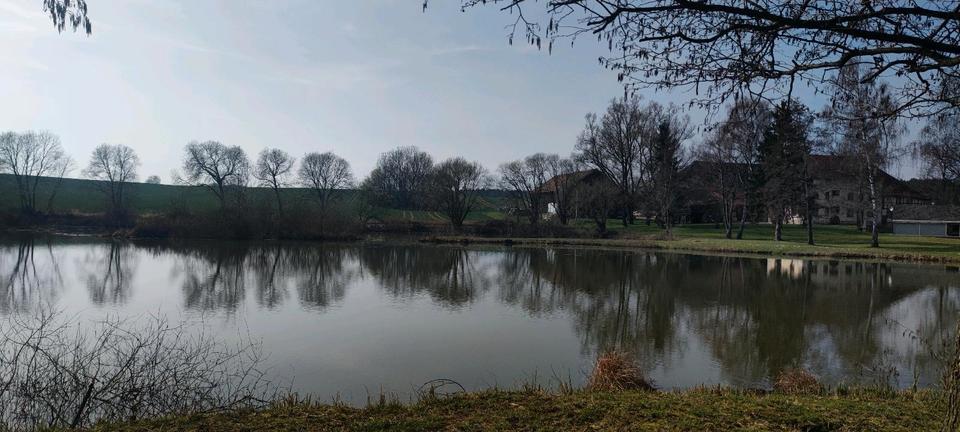 Einfamilienhaus Empfingen - 6 Zimmer, 170 m&sup2;, 1.400&euro; | Angebot:25935051