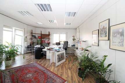 Büro in Goldbach 1.128 € 135 m² zimmer