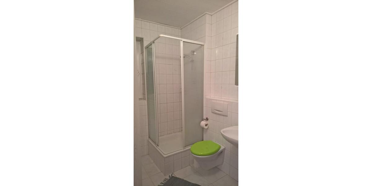 Renovierte 2 Zimmerwohnung mit Wohnküche in Hochstadt 2 zimmer